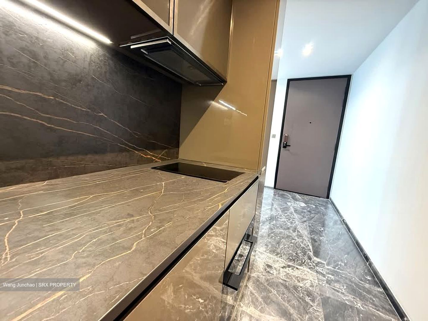 One Bernam (D2), Apartment #529213311